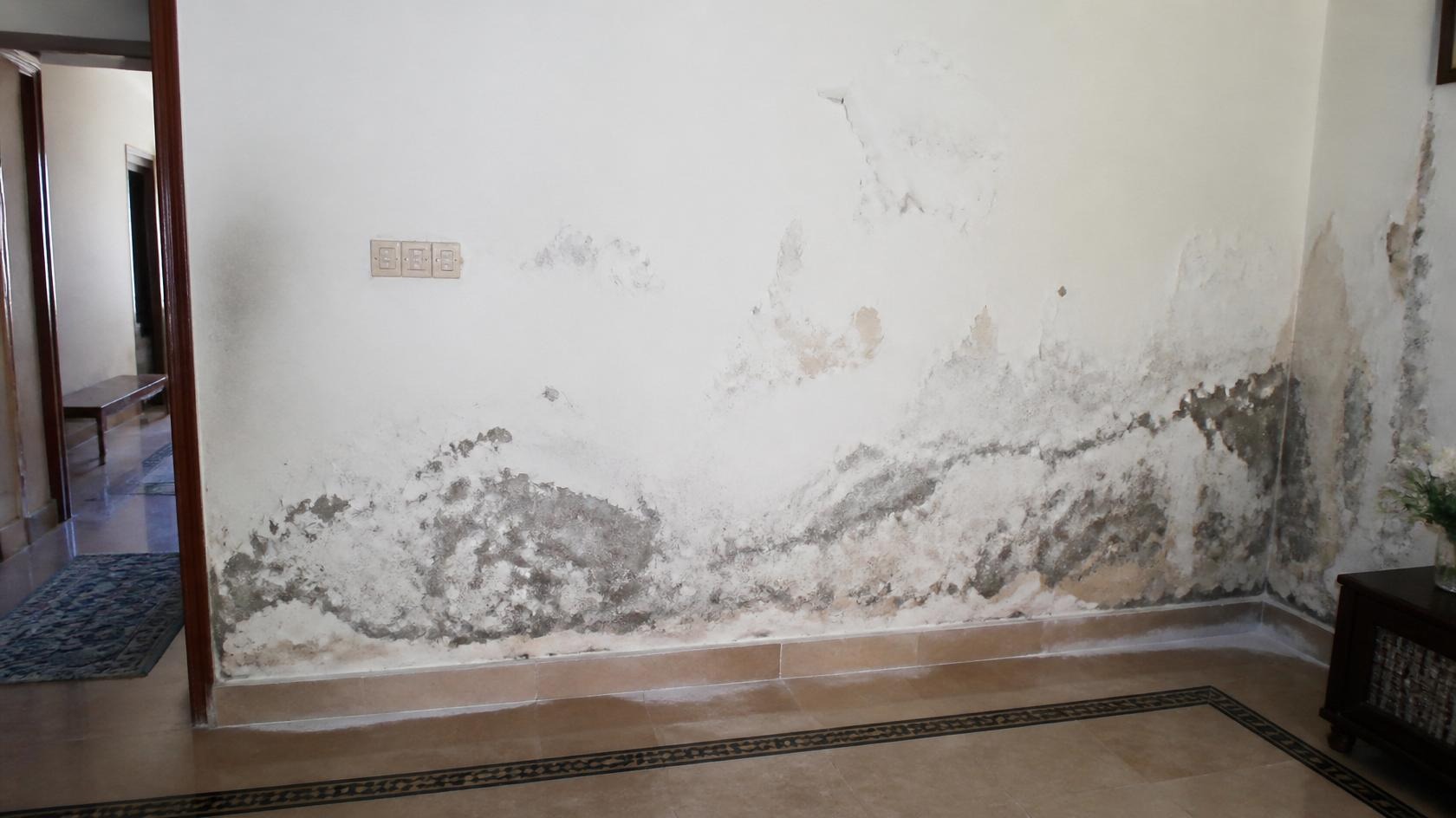 Waterproofing
