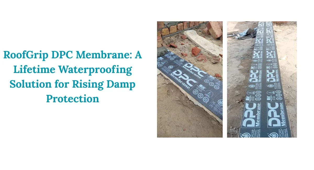 DPC Membrane